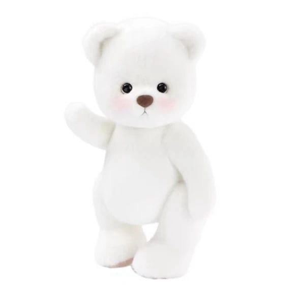 Teddy Bear with special clothes